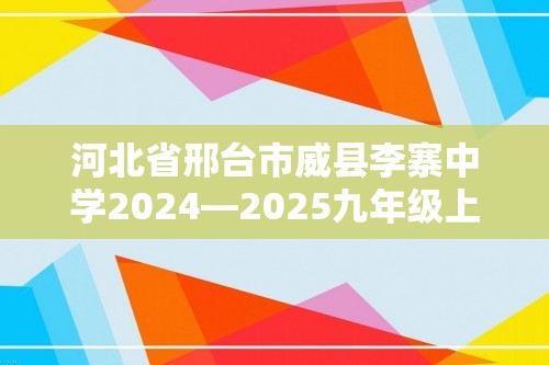 河北省邢台市威县李寨中学2024—2025九年级上学期12月第三阶段质量评价化学试题（图片版含答案）