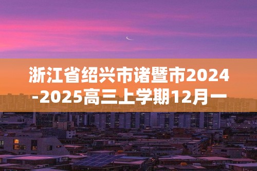 浙江省绍兴市诸暨市2024-2025高三上学期12月一模考试 化学试题（答案）