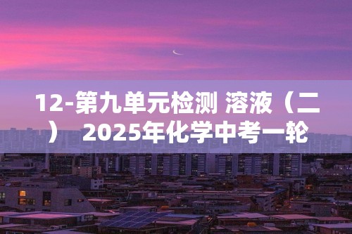 12-第九单元检测 溶液（二）  2025年化学中考一轮教材梳理基础练（人教版）（学生版+教师版）