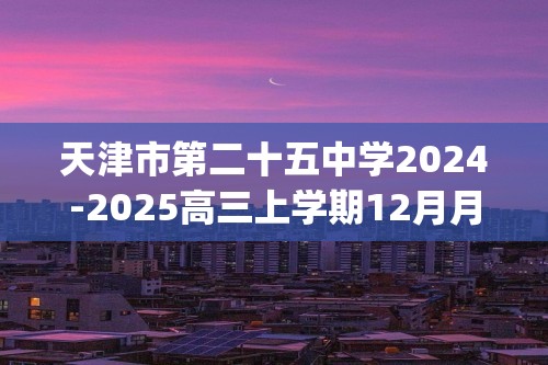 天津市第二十五中学2024-2025高三上学期12月月考 化学试题(答案)