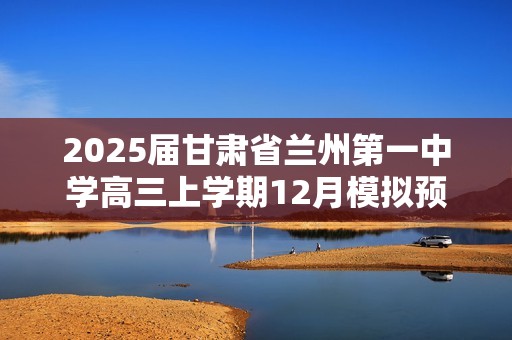 2025届甘肃省兰州第一中学高三上学期12月模拟预测化学试题（答案）