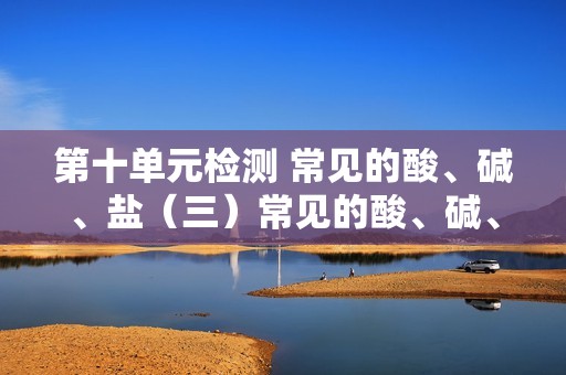 第十单元检测 常见的酸、碱、盐（三）常见的酸、碱、盐  2025年化学中考一轮教材梳理基础练（人教版）（学生版+教师版版）