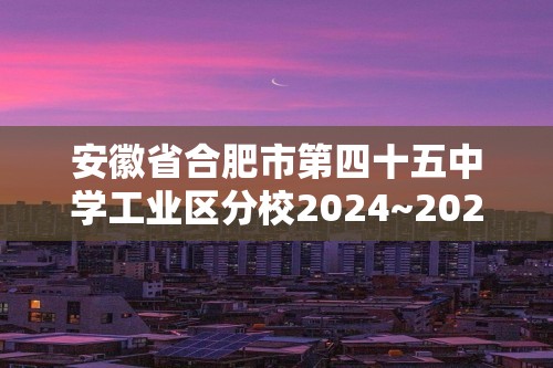 安徽省合肥市第四十五中学工业区分校2024~2025九年级上学期化学期末模拟试题（答案）