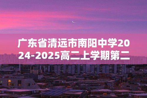 广东省清远市南阳中学2024-2025高二上学期第二次月考（期中）化学试题（答案）