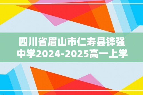 四川省眉山市仁寿县铧强中学2024-2025高一上学期11月期中化学试题（答案）