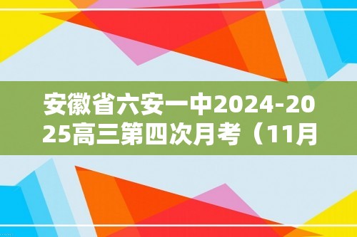 安徽省六安一中2024-2025高三第四次月考（11月）化学试题（答案）