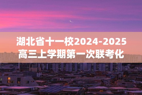 湖北省十一校2024-2025高三上学期第一次联考化学试题（pdf版,含答案）