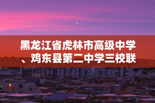 黑龙江省虎林市高级中学、鸡东县第二中学三校联考2024-2025高一上学期期中考试化学试卷（答案）