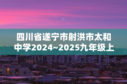 四川省遂宁市射洪市太和中学2024~2025九年级上学期第二学月（期中）考试化学试卷（答案）