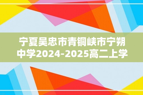 宁夏吴忠市青铜峡市宁朔中学2024-2025高二上学期第二次月考 化学试题（答案）