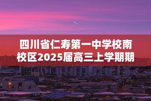 四川省仁寿第一中学校南校区2025届高三上学期期中考试化学试卷（答案）