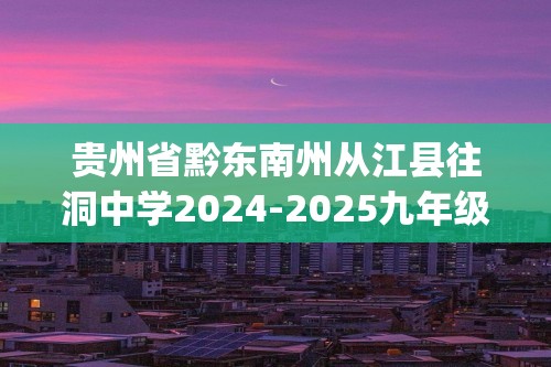 贵州省黔东南州从江县往洞中学2024-2025九年级上学期11月期中考试化学试题(答案)