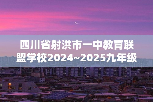 四川省射洪市一中教育联盟学校2024~2025九年级上学期期中考试化学试卷（答案）