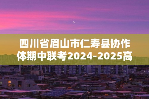 四川省眉山市仁寿县协作体期中联考2024-2025高二上学期11月期中考试 化学试题 （答案）