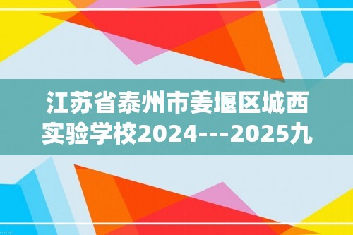 江苏省泰州市姜堰区城西实验学校2024---2025九年级上学期第二次月考化学试题(无答案)