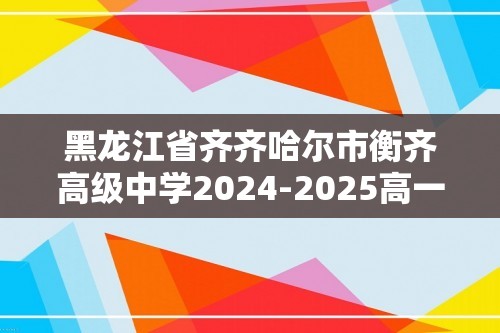 黑龙江省齐齐哈尔市衡齐高级中学2024-2025高一上学期12月期中考试化学试题（答案）