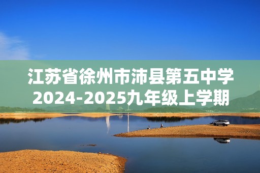 江苏省徐州市沛县第五中学2024-2025九年级上学期11月月考化学试题（图片版无答案）