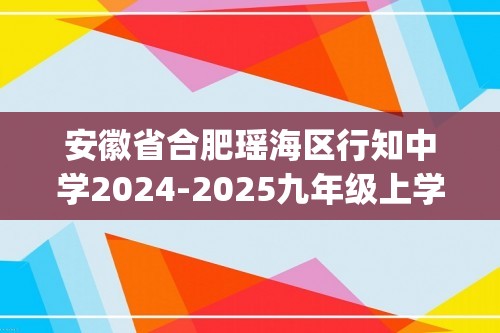 安徽省合肥瑶海区行知中学2024-2025九年级上学期第三次月考化学测试卷（图片版含答案)