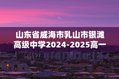 山东省威海市乳山市银滩高级中学2024-2025高一上学期期中考试化学试题（答案）