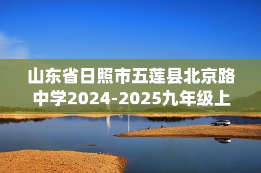 山东省日照市五莲县北京路中学2024-2025九年级上学期期中考试化学试题(答案)