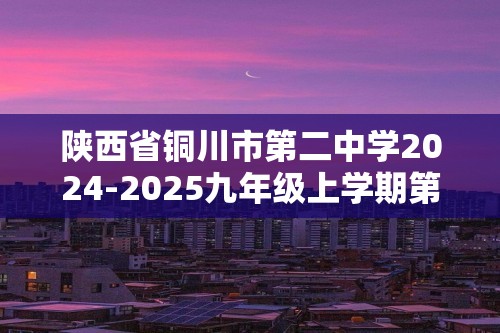 陕西省铜川市第二中学2024-2025九年级上学期第二阶段教学质量检测化学试题（图片版无答案）