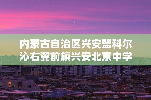 内蒙古自治区兴安盟科尔沁右翼前旗兴安北京中学2024-2025九年级上学期12月月考化学试题（答案）