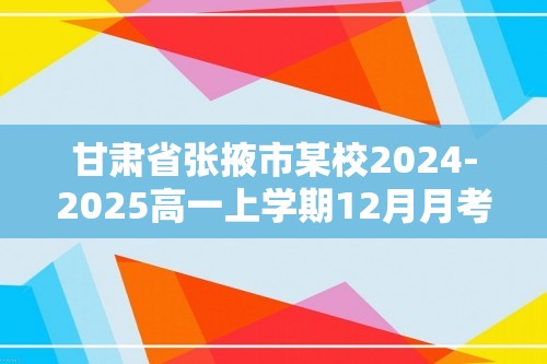 甘肃省张掖市某校2024-2025高一上学期12月月考检测 化学试卷（答案）