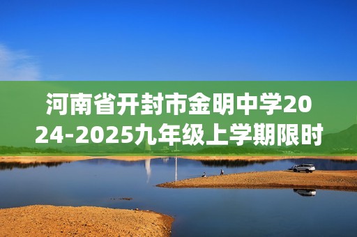 河南省开封市金明中学2024-2025九年级上学期限时练（期中考试）化学试卷(答案)