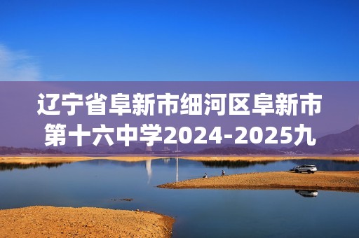 辽宁省阜新市细河区阜新市第十六中学2024-2025九年级上学期11月期中考试化学试题(答案)