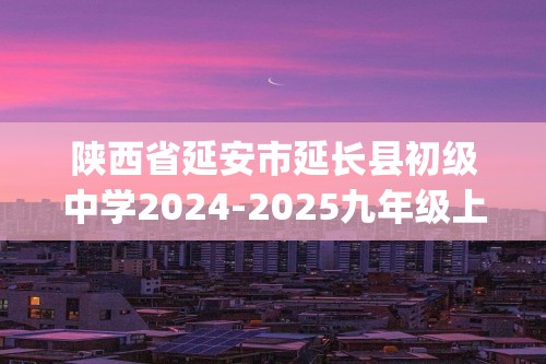 陕西省延安市延长县初级中学2024-2025九年级上学期12月月考化学试题(无答案)