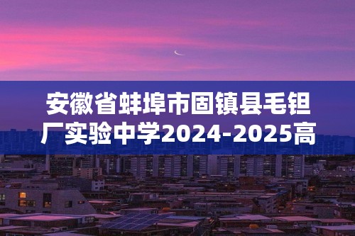 安徽省蚌埠市固镇县毛钽厂实验中学2024-2025高二上学期11月月考 化学试题（图片版含答案）