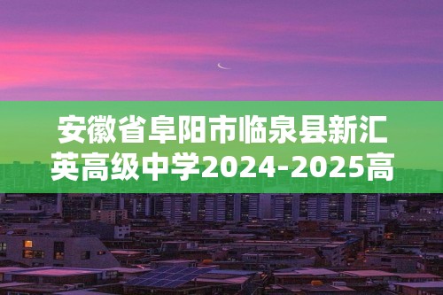 安徽省阜阳市临泉县新汇英高级中学2024-2025高二上学期12月考试 化学试卷（答案）