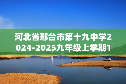 河北省邢台市第十九中学2024-2025九年级上学期12月月考化学试题(答案)