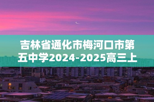 吉林省通化市梅河口市第五中学2024-2025高三上学期12月月考化学试题（答案）