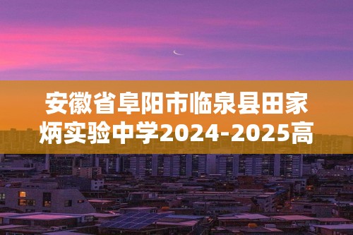 安徽省阜阳市临泉县田家炳实验中学2024-2025高三上学期12月月考化学试题（答案）