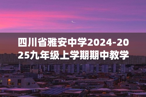 四川省雅安中学2024-2025九年级上学期期中教学质量评估化学试题(答案)