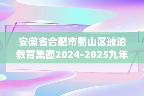 安徽省合肥市蜀山区琥珀教育集团2024-2025九年级上学期12月第二次质量调研检测化学试题(图片版,含答案)