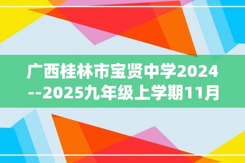 广西桂林市宝贤中学2024--2025九年级上学期11月集中训练化学试题(答案)