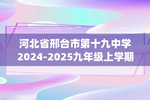 河北省邢台市第十九中学2024-2025九年级上学期12月月考化学试题(图片版含答案)