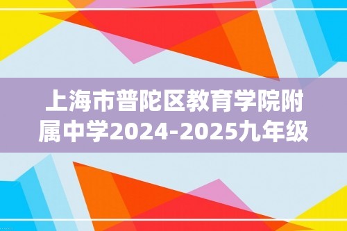 上海市普陀区教育学院附属中学2024-2025九年级上学期12月月考化学试卷(图片版无答案)