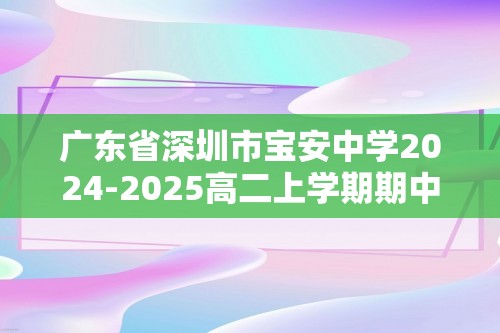 广东省深圳市宝安中学2024-2025高二上学期期中考试化学试卷（图片版含答案）