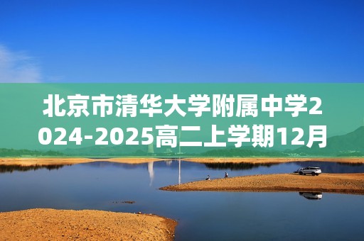 北京市清华大学附属中学2024-2025高二上学期12月月考（统练）化学试题（答案）