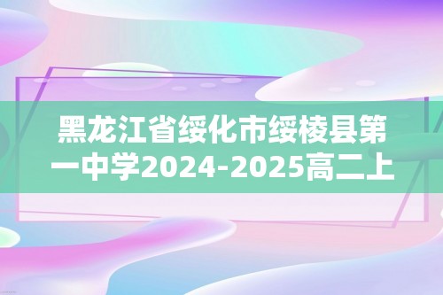 黑龙江省绥化市绥棱县第一中学2024-2025高二上学期12月月考 化学试题（答案）