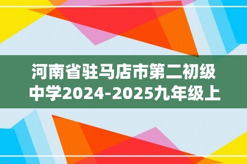 河南省驻马店市第二初级中学2024-2025九年级上学期12月素质评估化学试题(图片版,含答案)