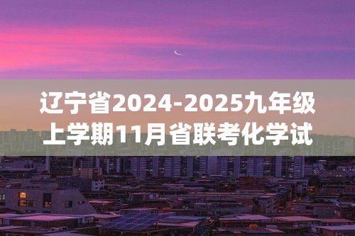 辽宁省2024-2025九年级上学期11月省联考化学试题(答案)