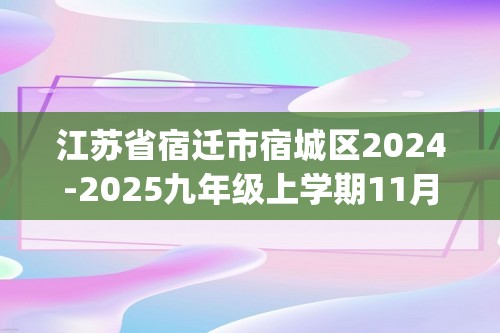 江苏省宿迁市宿城区2024-2025九年级上学期11月期中考试化学试题（含答案)