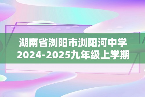 湖南省浏阳市浏阳河中学2024-2025九年级上学期12月月考化学试题（PDF无答案）