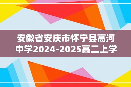 安徽省安庆市怀宁县高河中学2024-2025高二上学期12月月考 化学试题（答案）