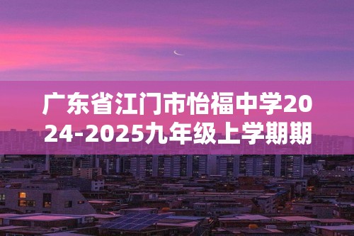 广东省江门市怡福中学2024-2025九年级上学期期中考试化学试题（答案）