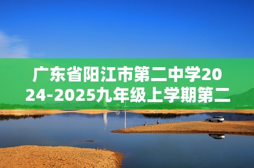 广东省阳江市第二中学2024-2025九年级上学期第二次月考化学试题（答案）